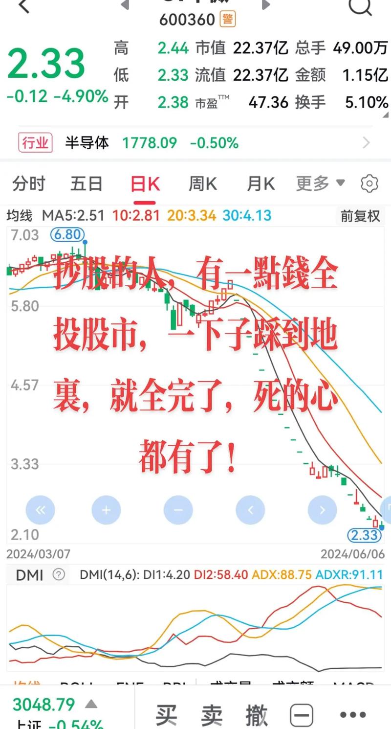 高价股存风险 配资被查或影响股市