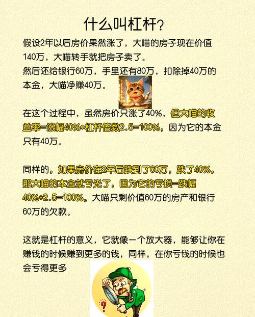 股票杠杆原理_举例说明股市杠杆原理_杠杆在股市什么意思
