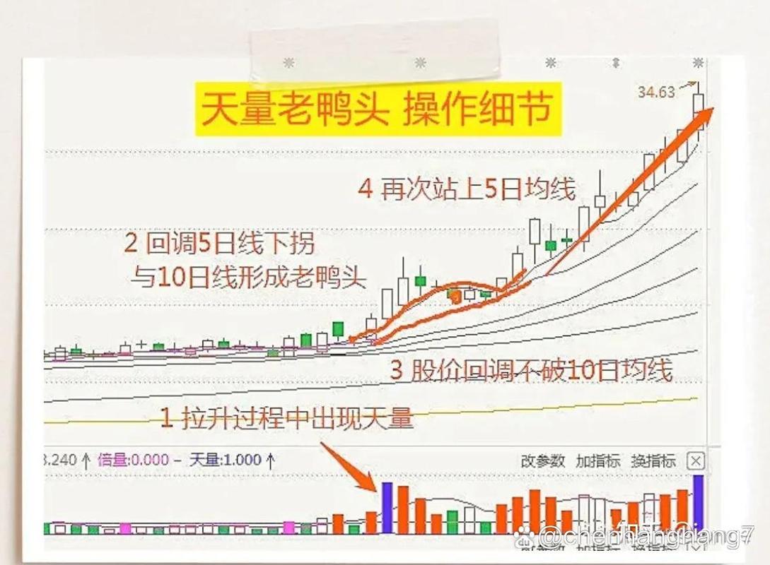 配资股票免息是真的吗_免息股票配资_股票配资无息