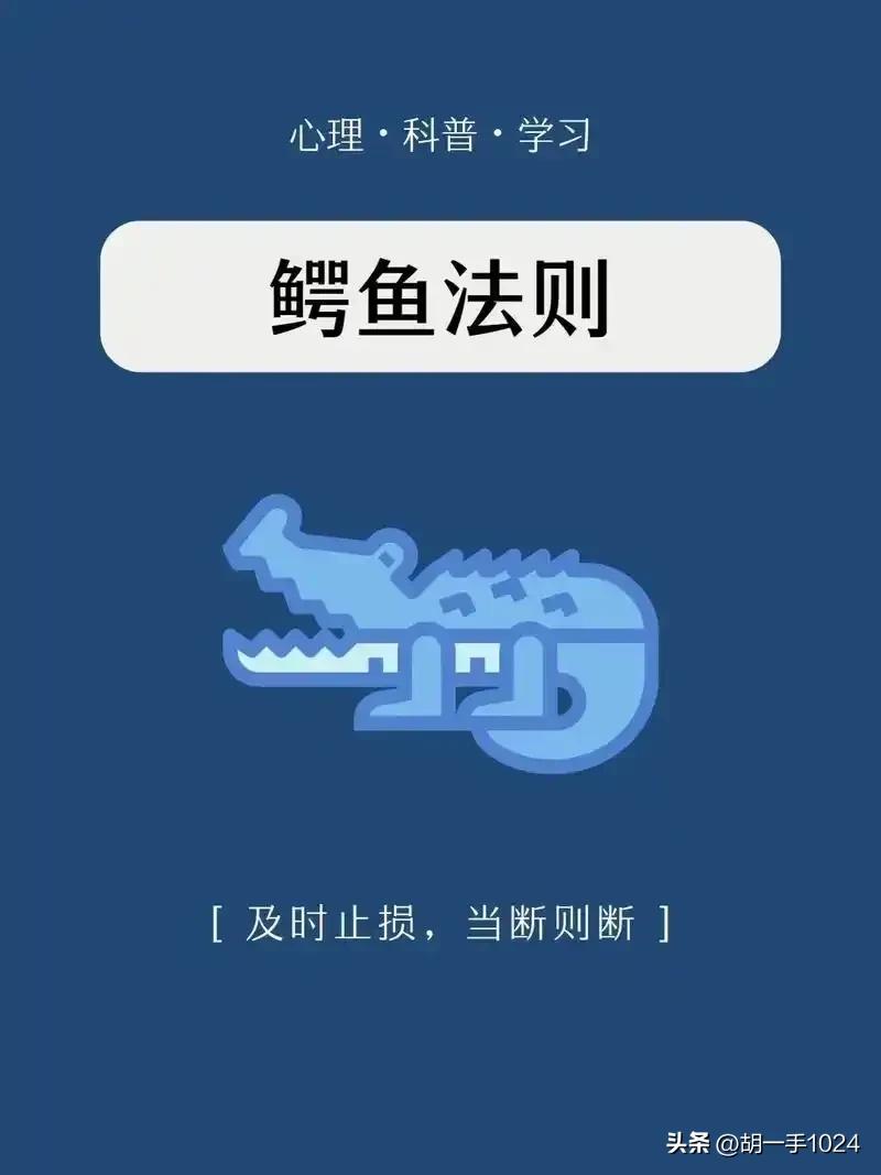 杠杆炒股风险_炒股不使用杠杆_股票杠杆是什么意思