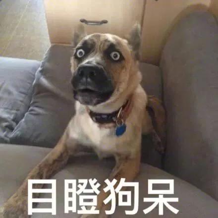 _ A股市场独立行情 _股票配资是什么意思啊