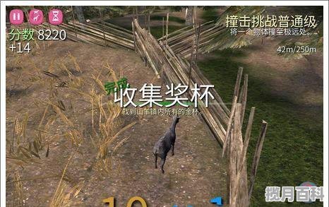 股票配资开户流程是怎么样的，股票配资交易系统开发