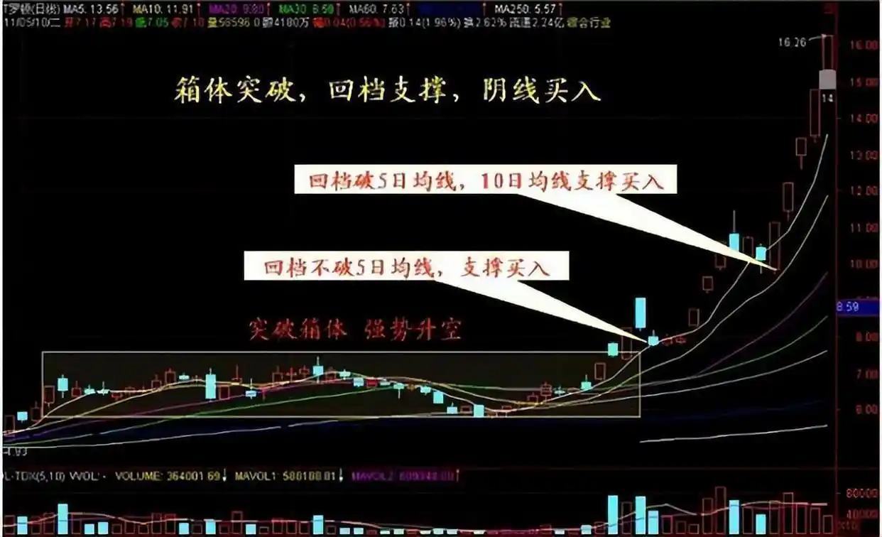  股市养捕杀策略 _炒股赚钱_