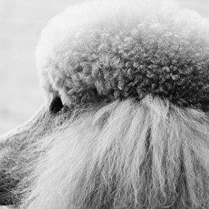 配资炒股被骗怎么办_投资被骗怎么追回_什么叫配资炒股