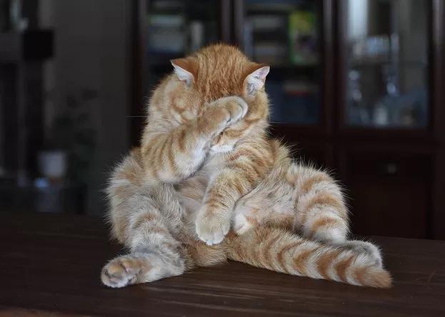 高杠杆炒股风险_股票网上配资_场外配资风险