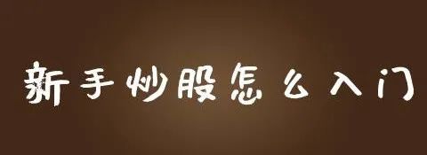 新手入门买股票必看！股票是什么，普通股和优先股有啥区别？