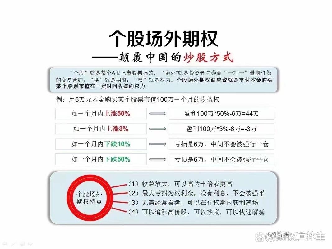 股票杠杆开户_场外期权个人投资者参与方式_场外期权杠杆率计算方法