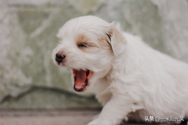 股票分歧买入时机_股市杠杆涨跌原因_炒股加杠杆是什么意思