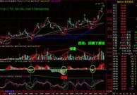 新手入门如何学炒股票