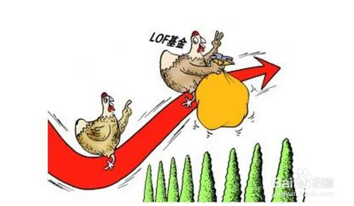 买基金新手入门必看知识 教你如何买基金